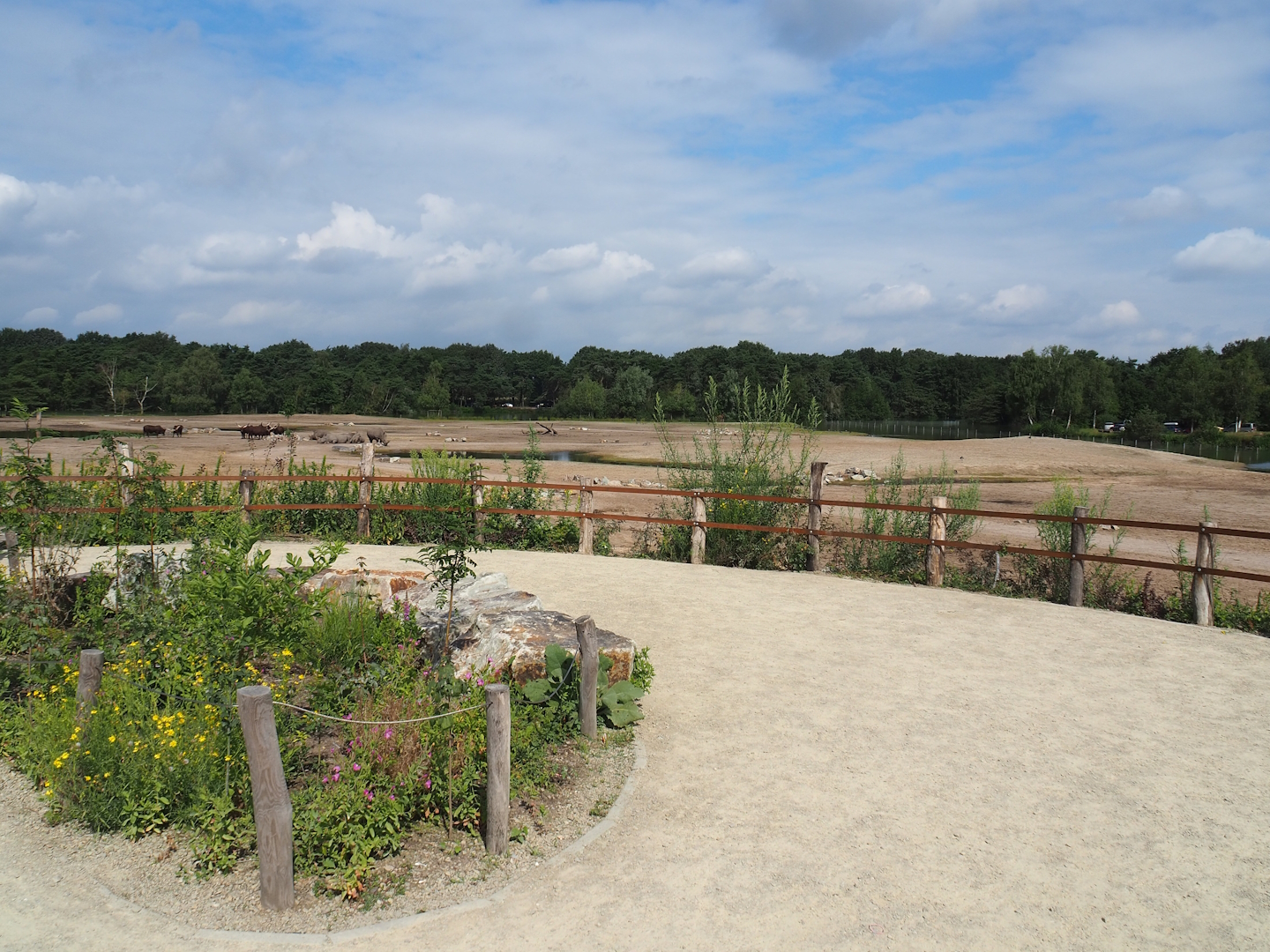 New Southern white rhinoceros plains viewing area, 2023-08-15