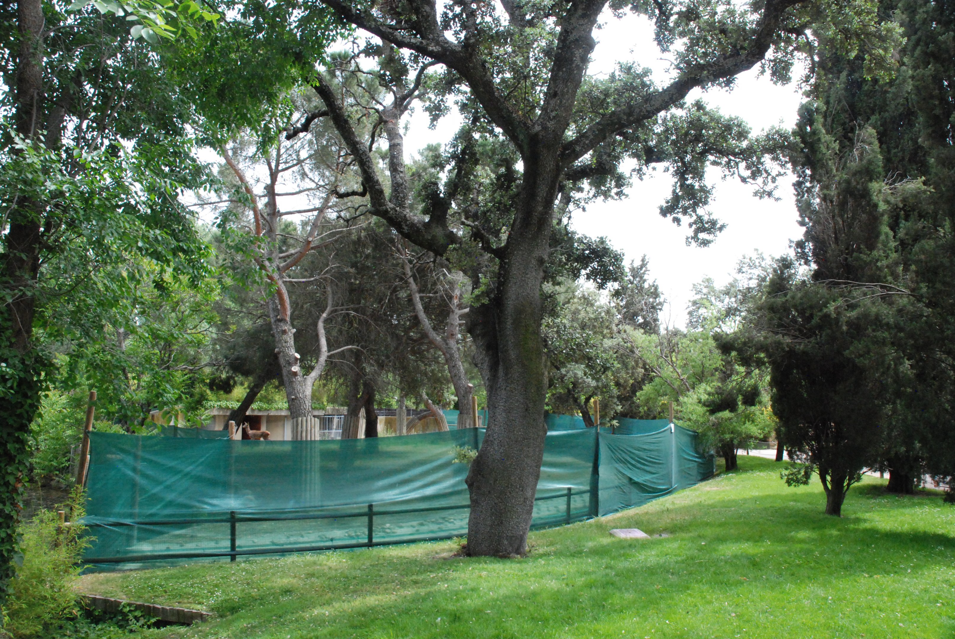 New Spanish Red Deer Enclosure at Zoo Aquarium de Madrid, 20th May 2022