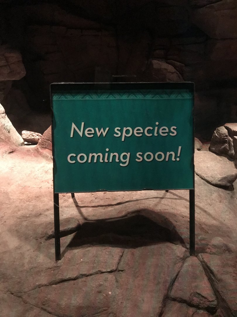 New Species Coming Soon sign in former Sand Cat Habitat