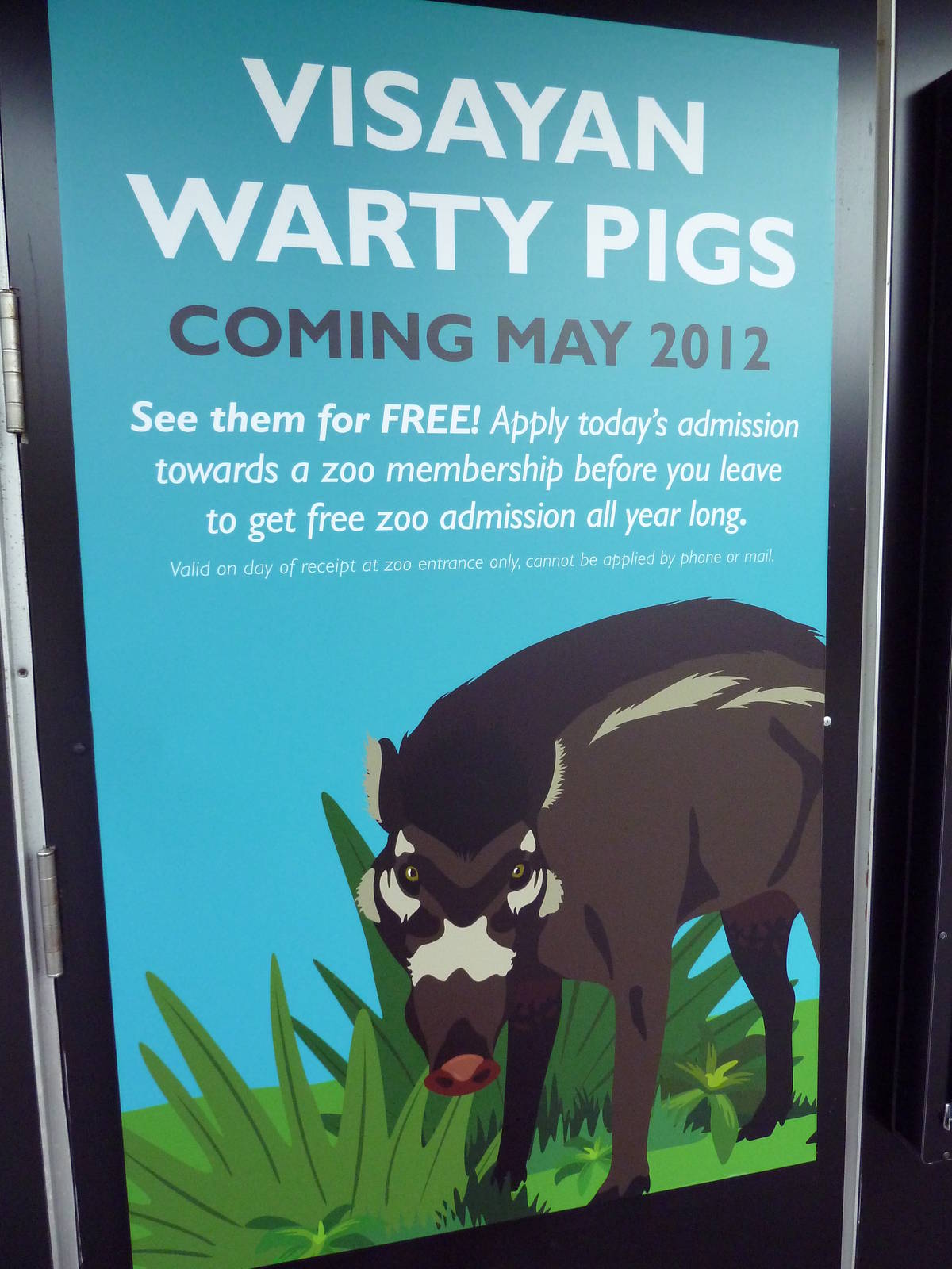 New Species For 2012