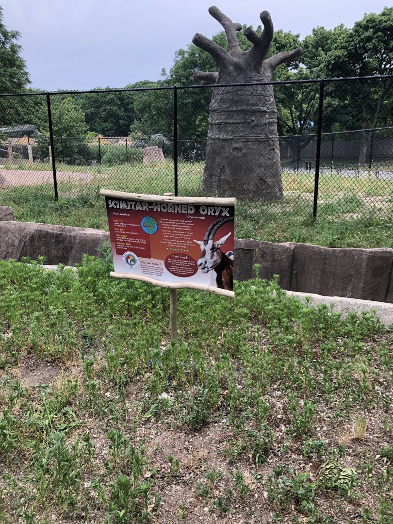 New Species in Former Elephant Exhibit