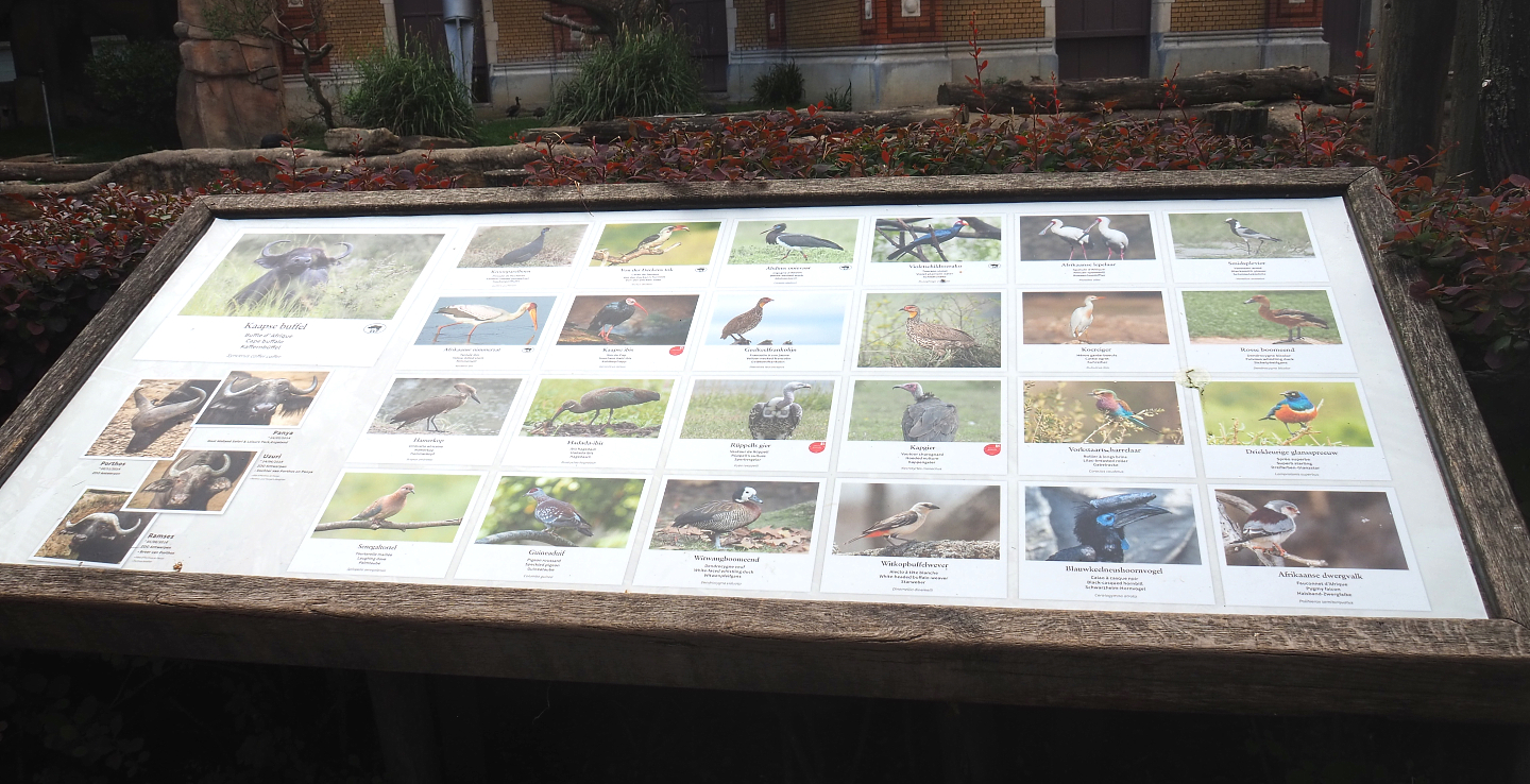 New species signage in the Savanna aviary, 2022-05-26