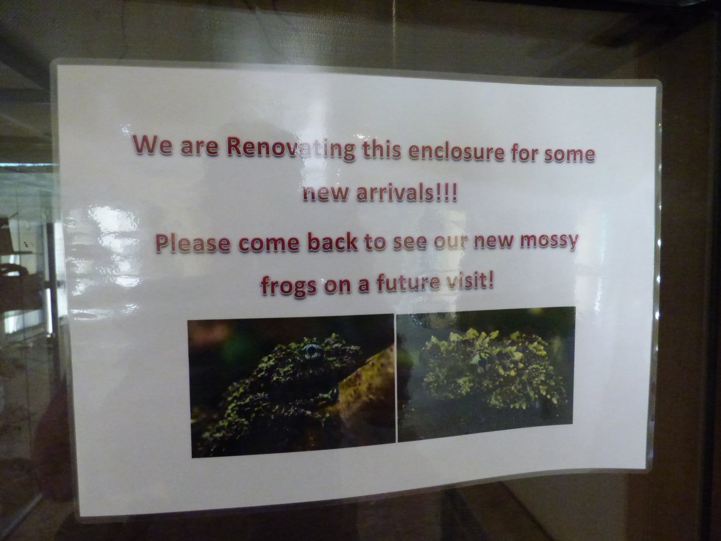 New Species Signage