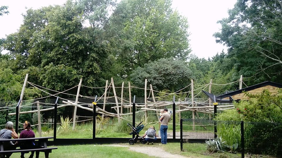New Spider Monkey Enclosure (6th August 2020)