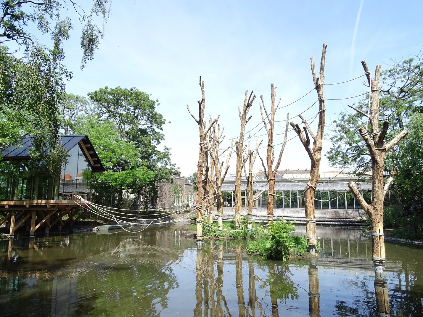 New spider monkey enclosure nearing completion