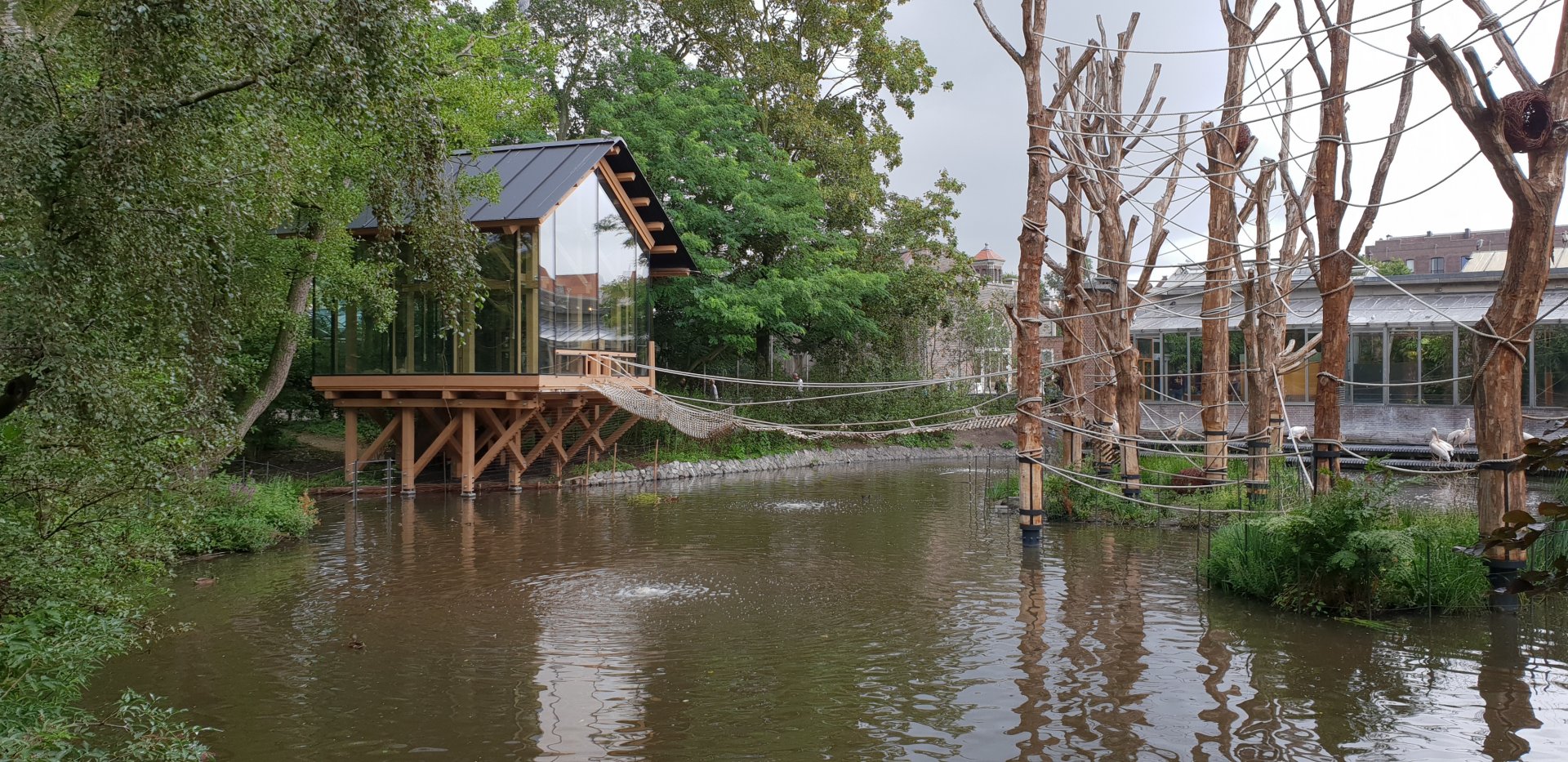 New Spider monkey enclosure