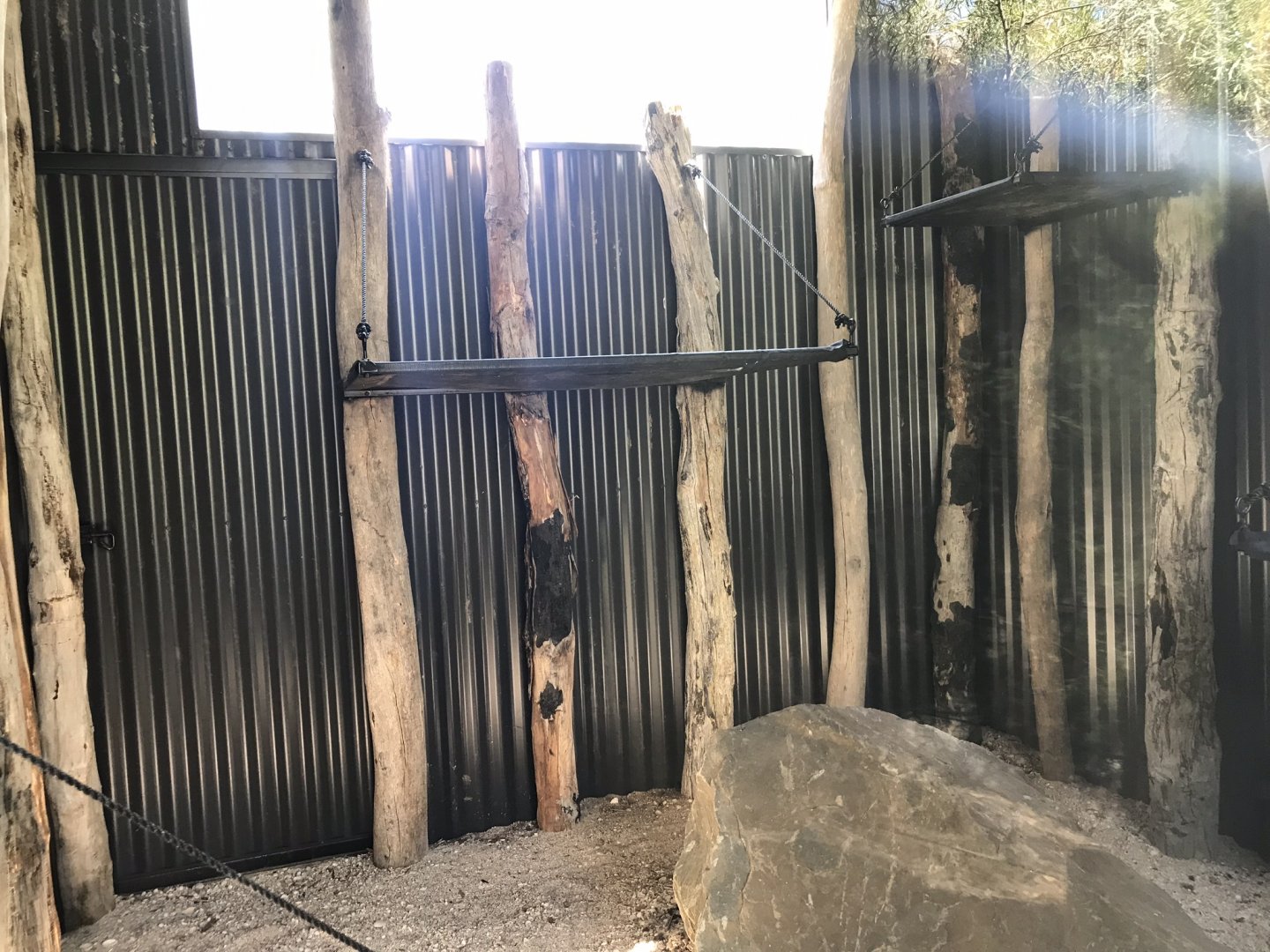 New spider monkey exhibit (indoor)