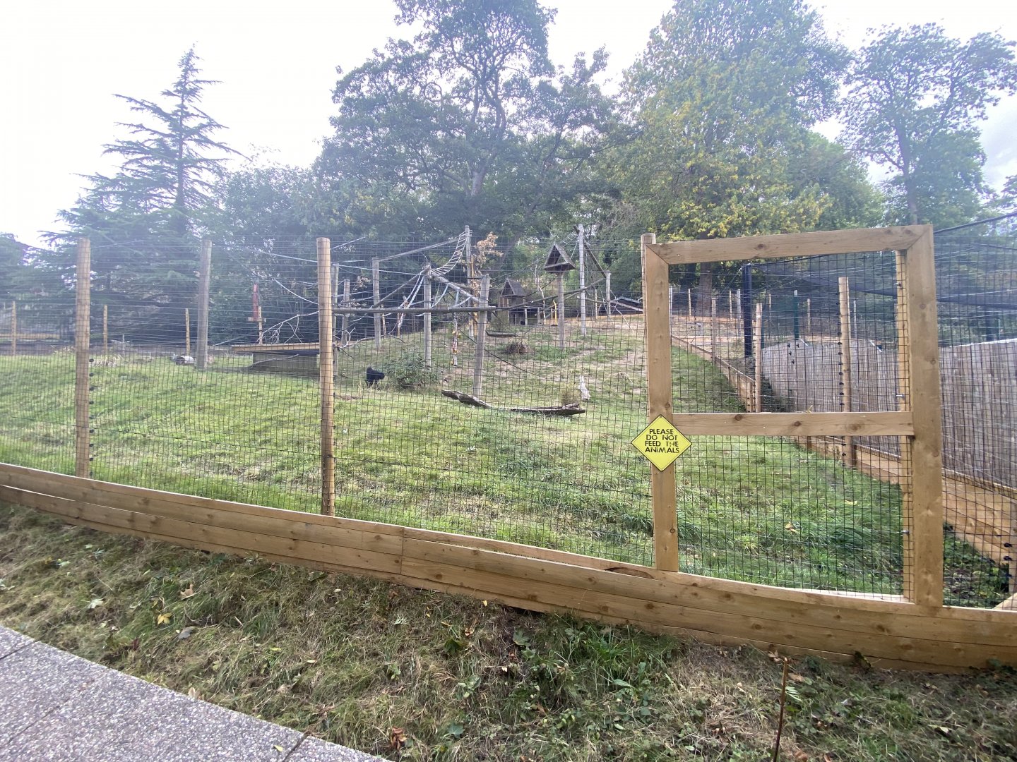 New spider monkey fencing