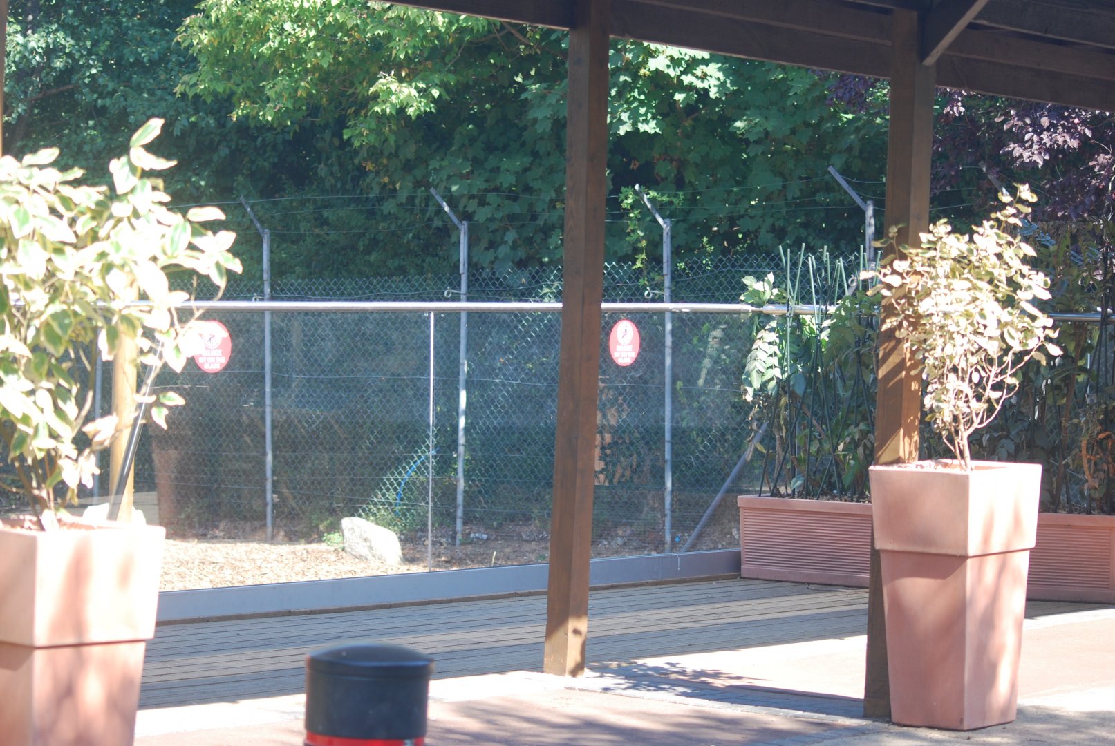 New spotted hyaena viewing area