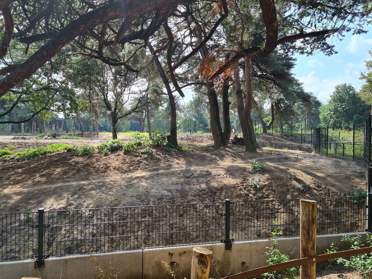 New Spotted hyena enclosure