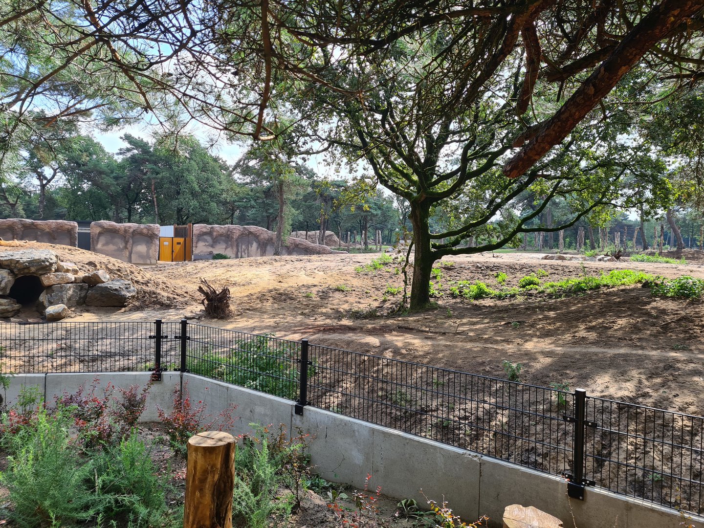 New Spotted hyena enclosure