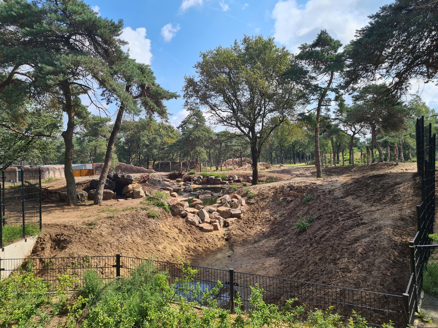 New Spotted hyena enclosure