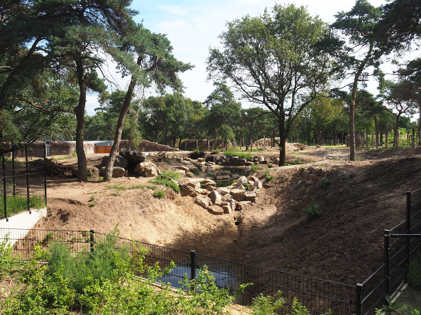 New Spotted hyena exhibit, 2023-08-15