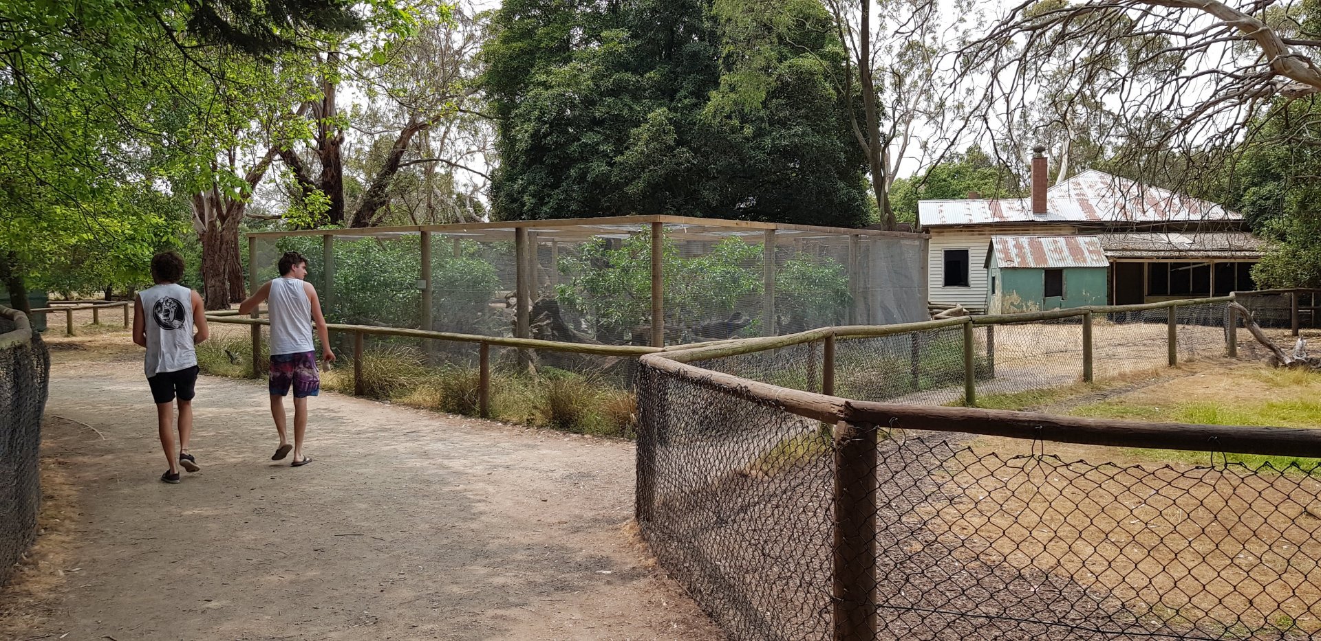 New Spotted Quoll enclosure