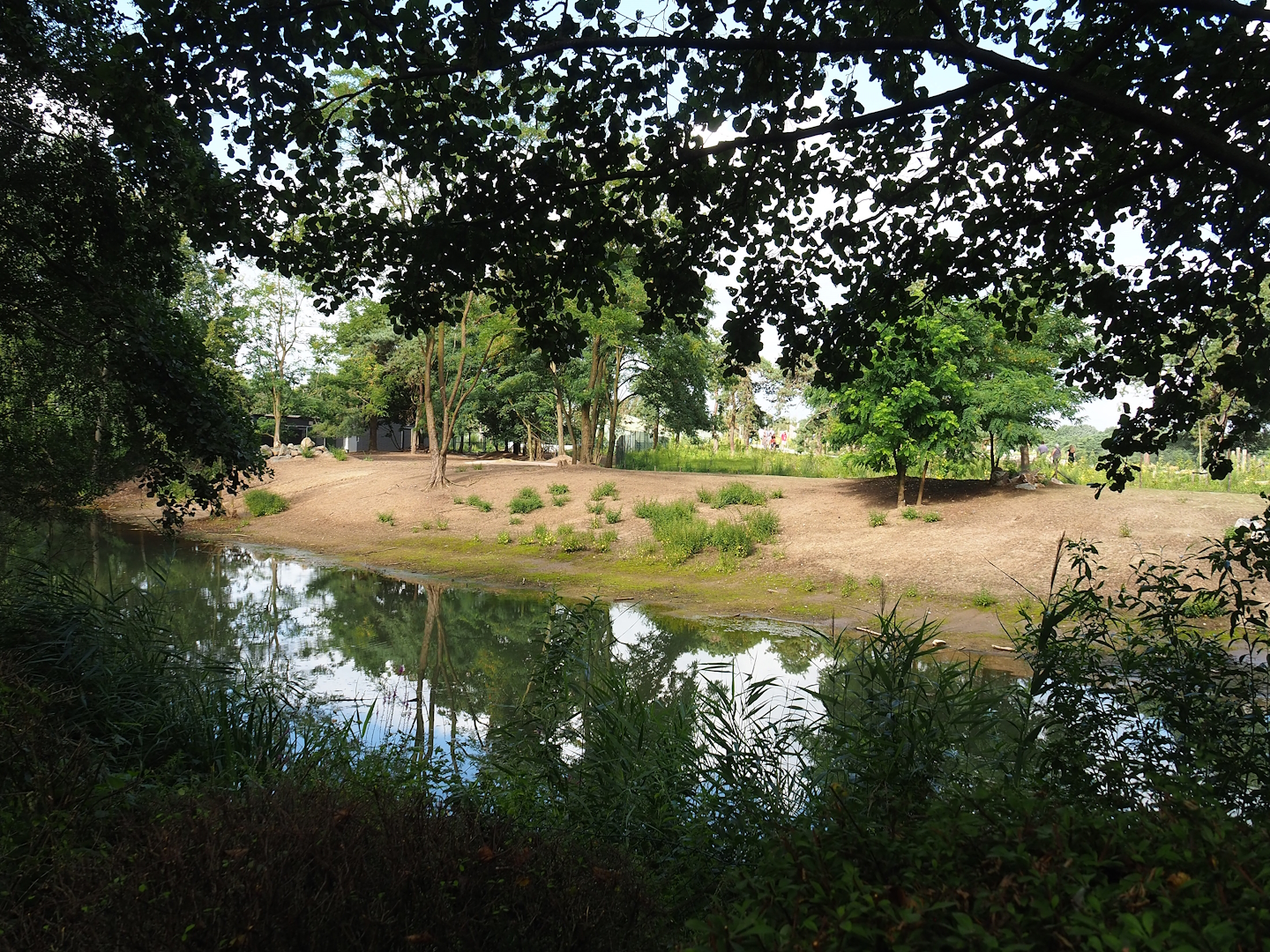 New Springbok exhibit, 2023-08-15