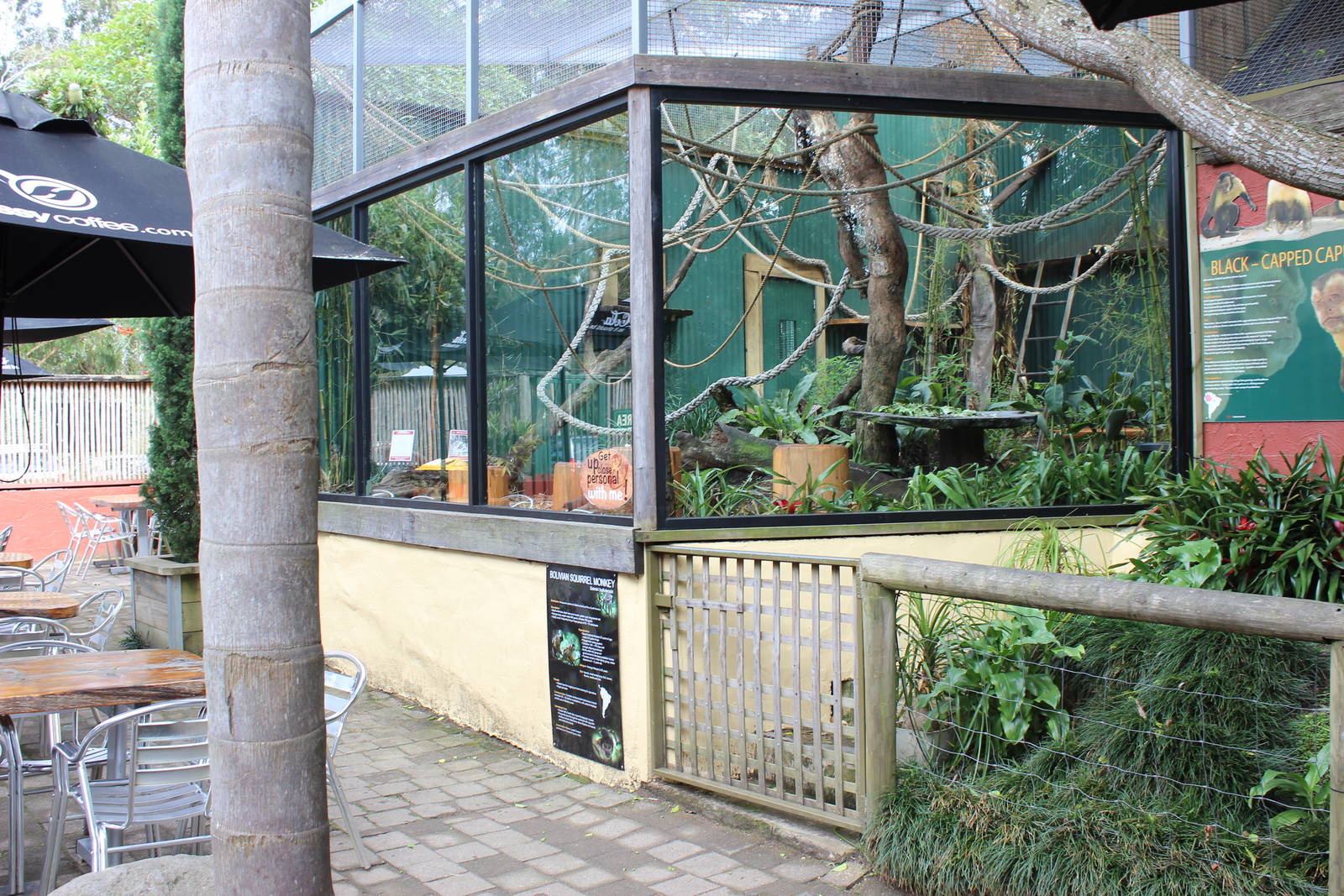 New Squirrel Monkey enclosure