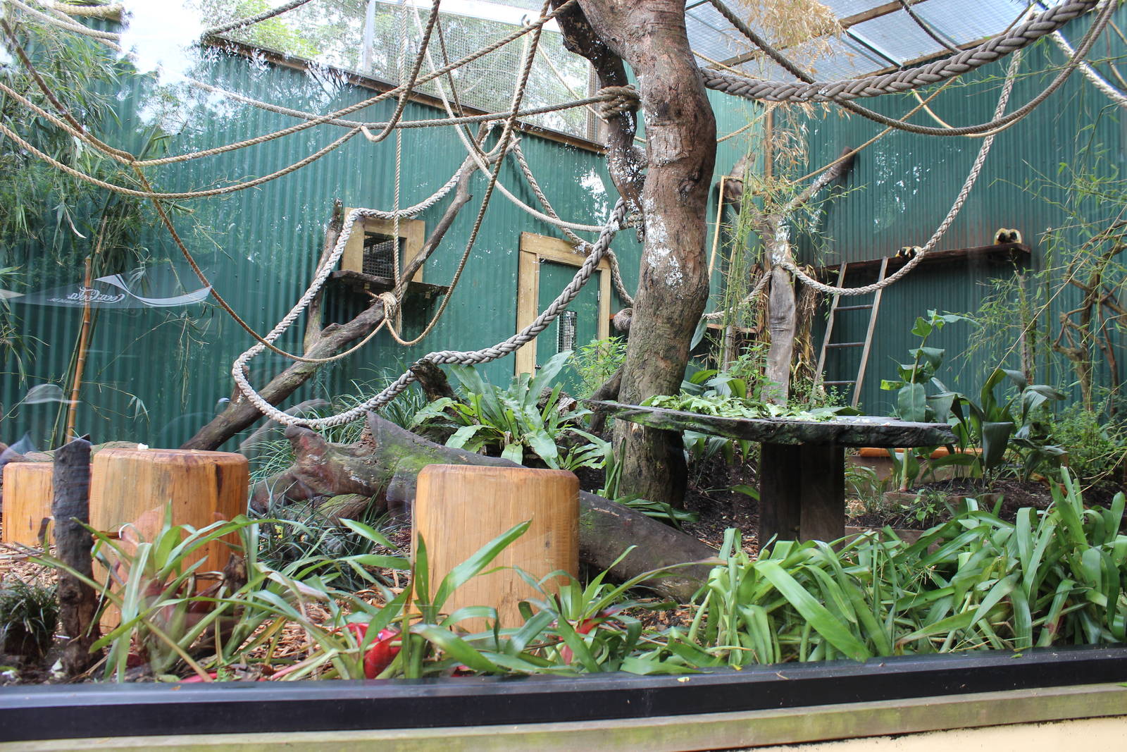 New Squirrel Monkey enclosure