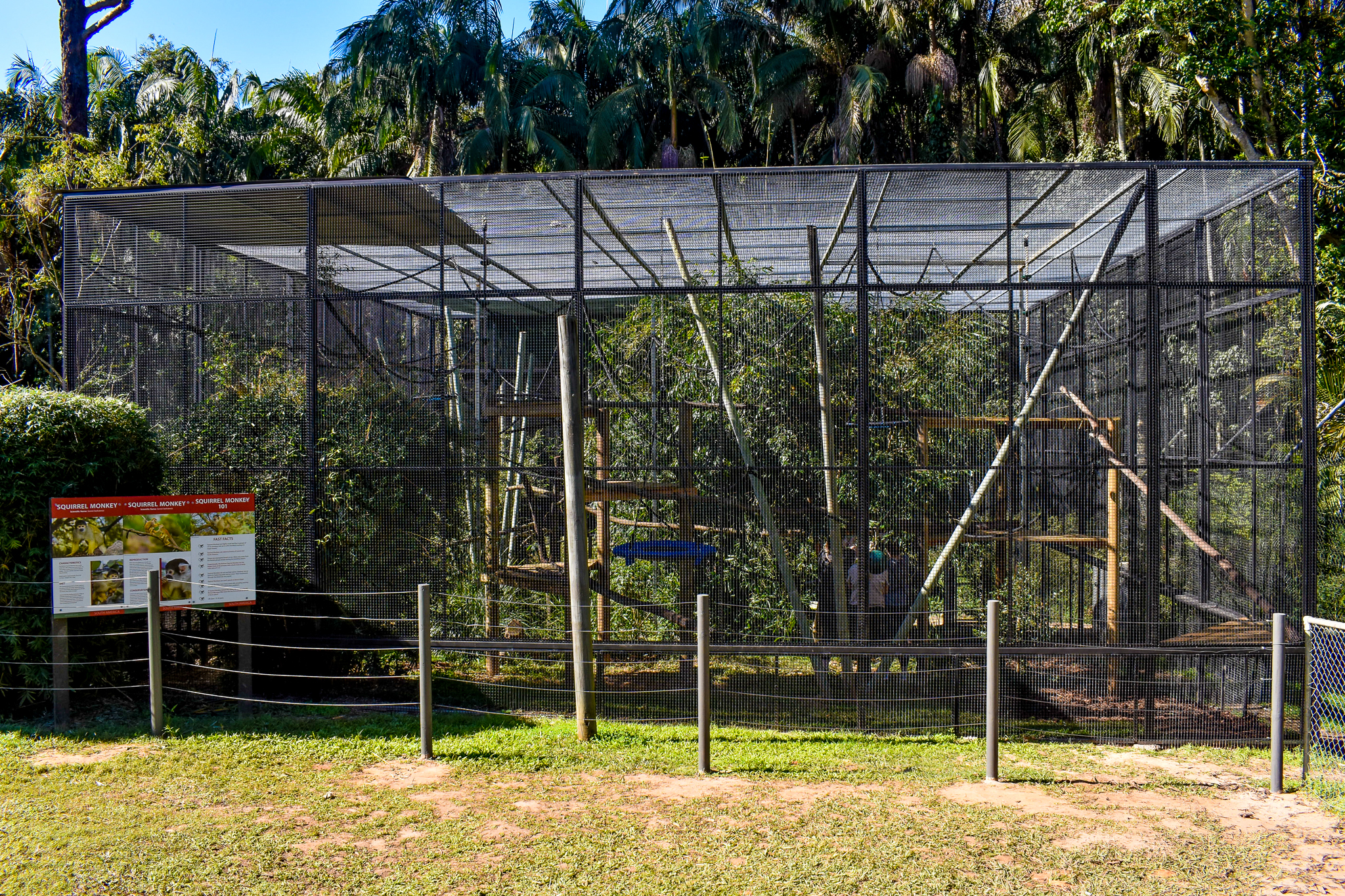 New Squirrel Monkey Enclosure