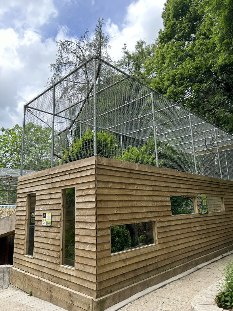 New squirrel monkey enclosure