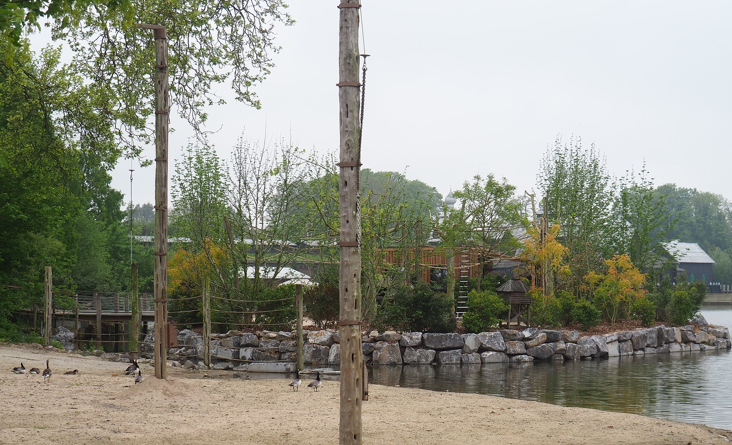 New squirrel monkey island, 2023-05-15