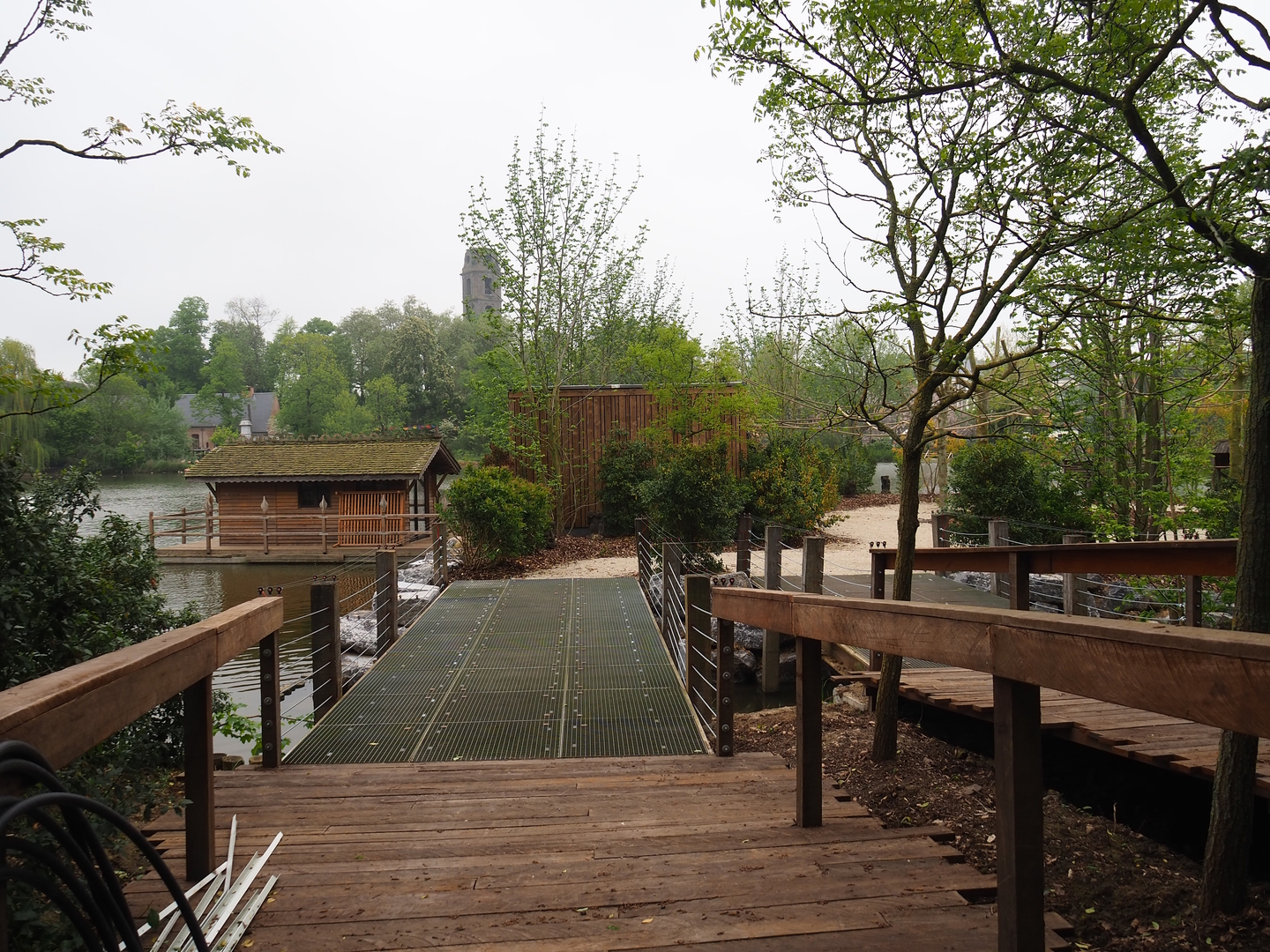 New squirrel monkey island, 2023-05-15