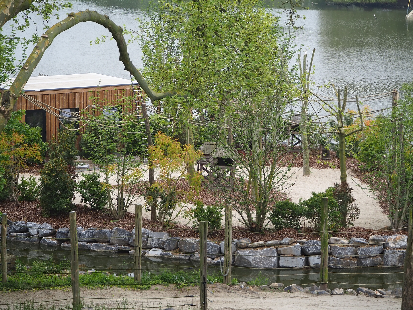 New squirrel monkey island, 2023-05-15