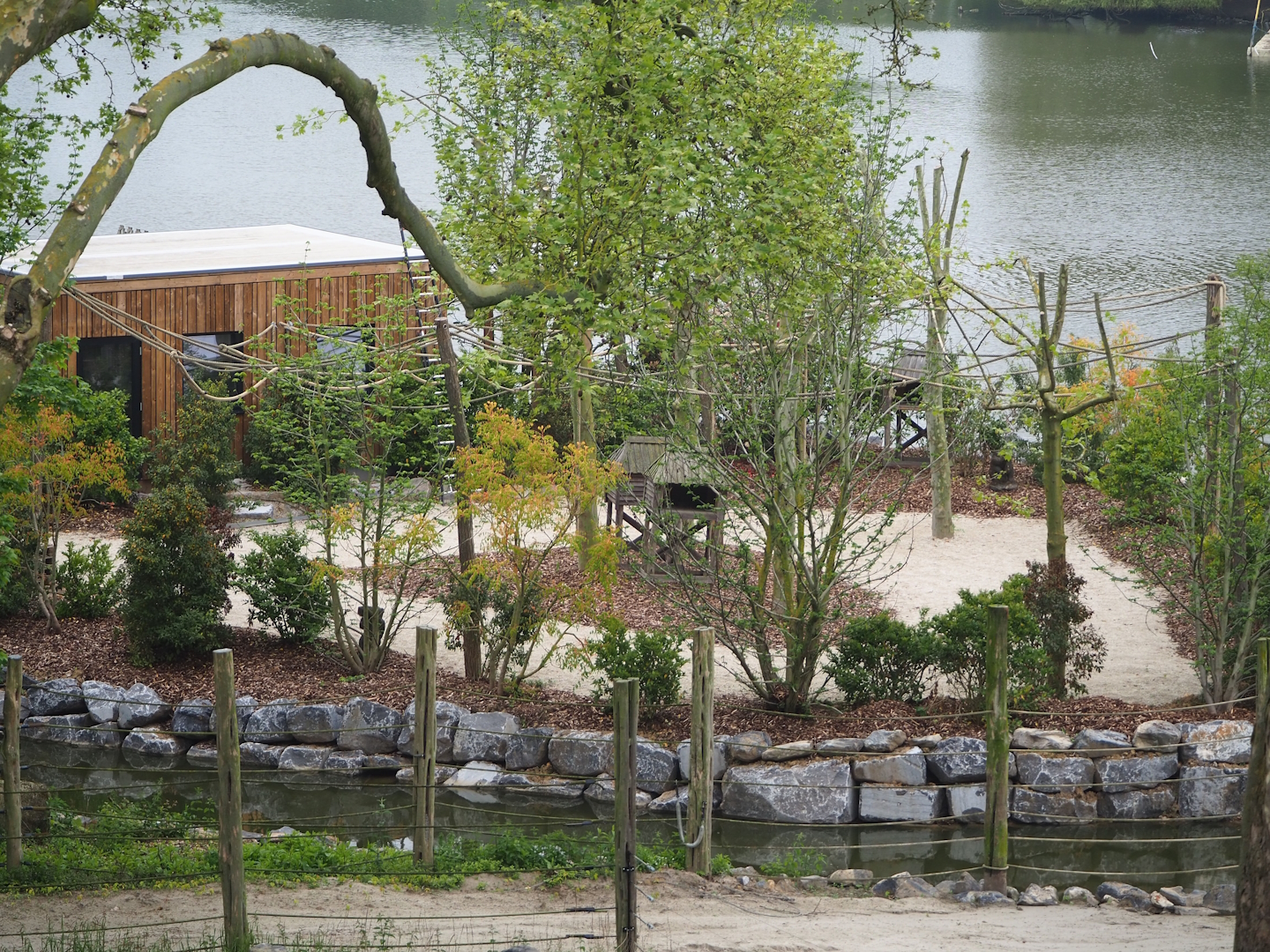 New squirrel monkey island (Currently only accessible for paid animal encounters), 2023-05-15