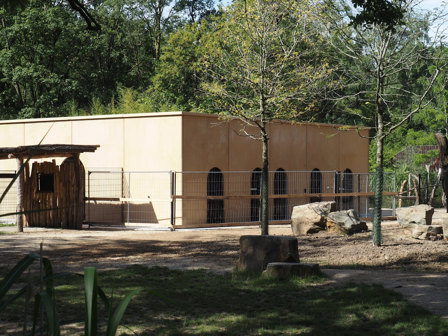 New stable for red river hogs and perhaps other African ungulates between Mountain bongo and Somali wild donkey paddocks, 2025-07-12