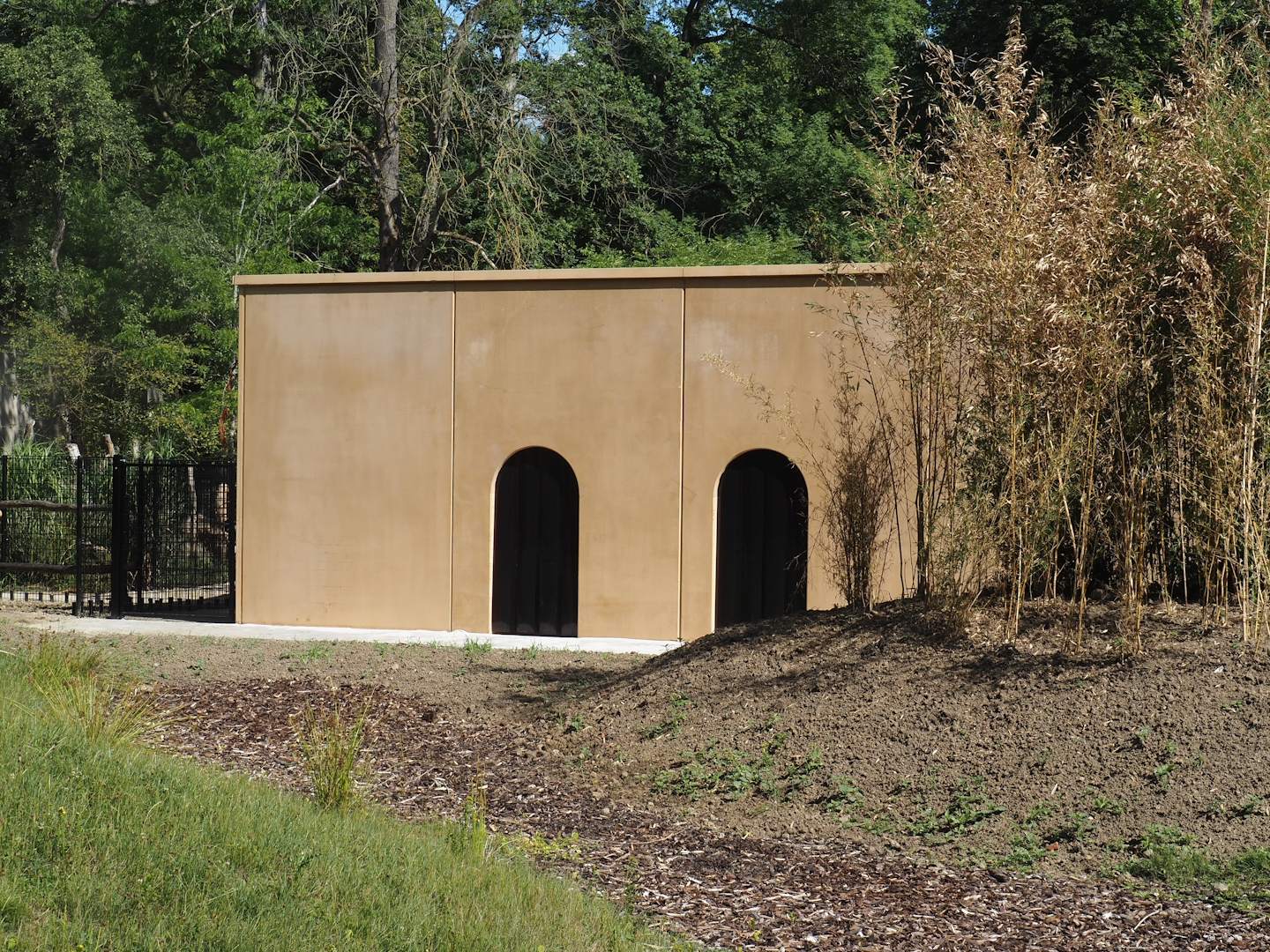 New stable for red river hogs and perhaps other African ungulates between Mountain bongo and Somali wild donkey paddocks, 2025-07-12