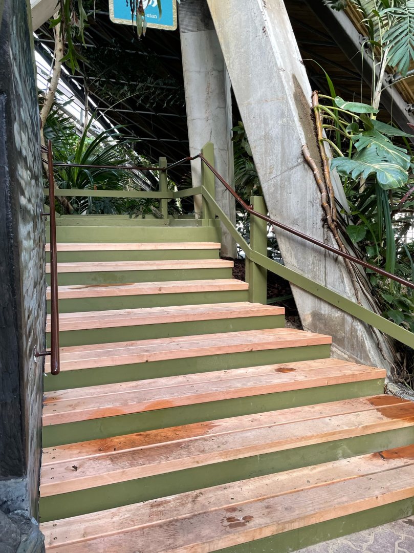New Stairs in Indo-Malaya Pavilion