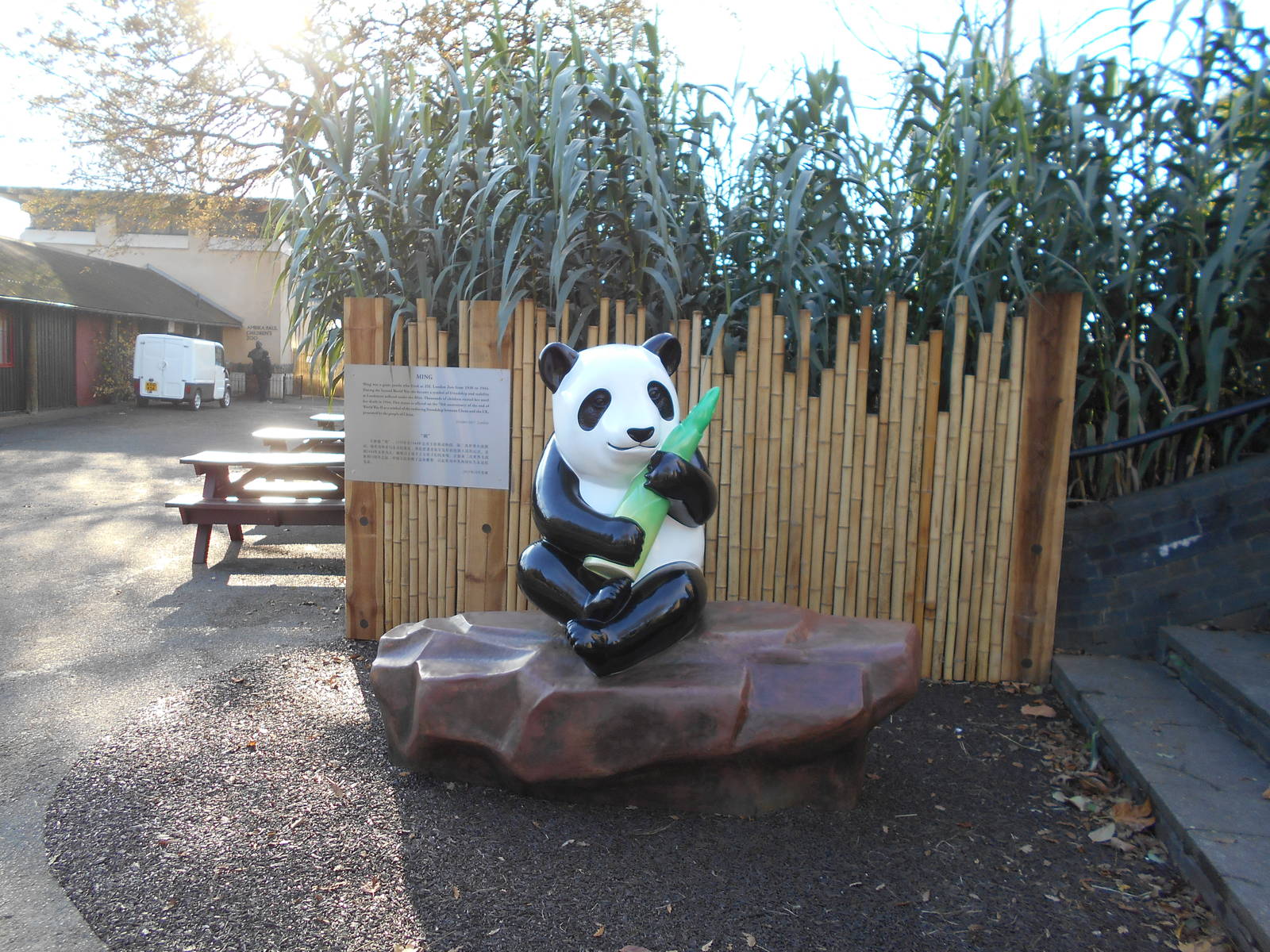 New statue of Ming the panda, 22/11/2015