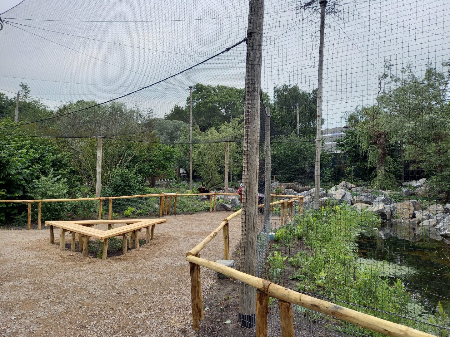 New Steller's sea-eagle aviary
