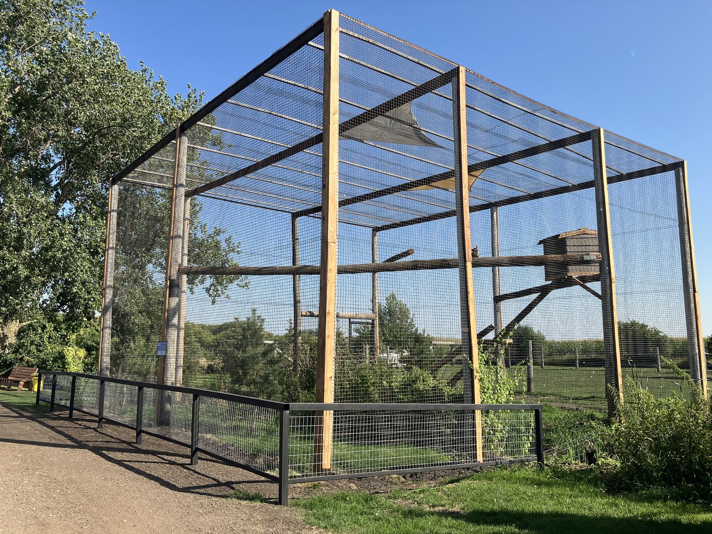 New Steller’s Sea Eagle Exhibit