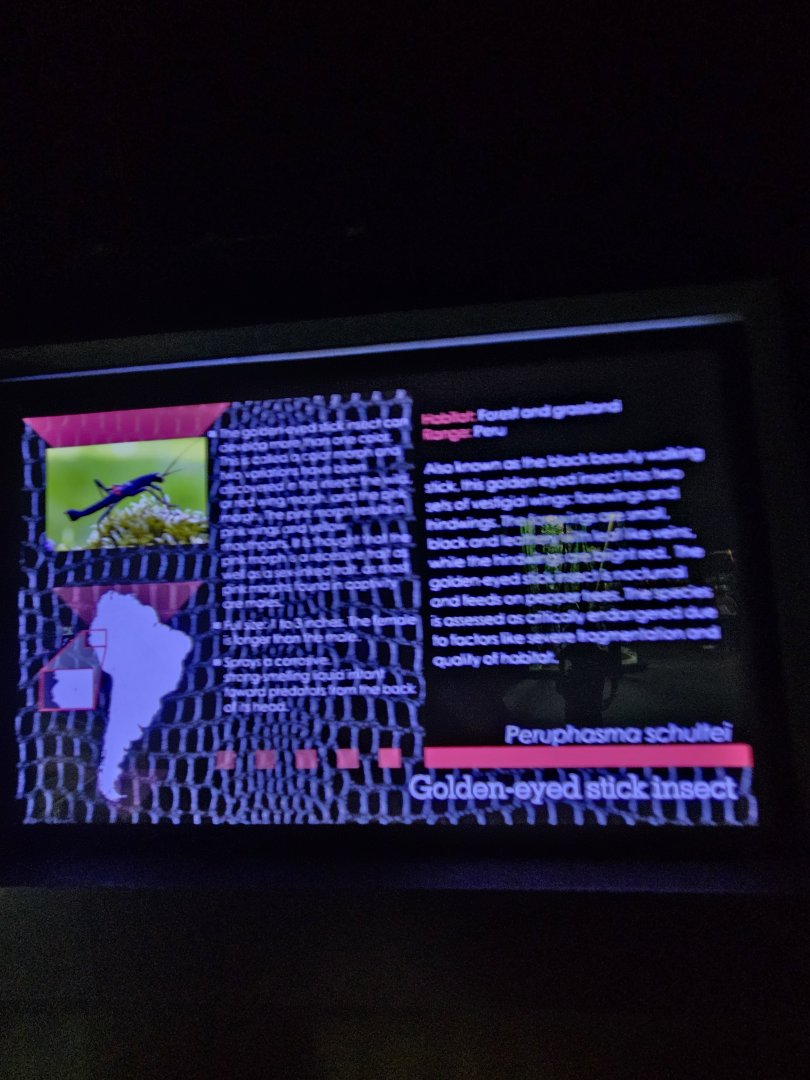 New stick insect sign