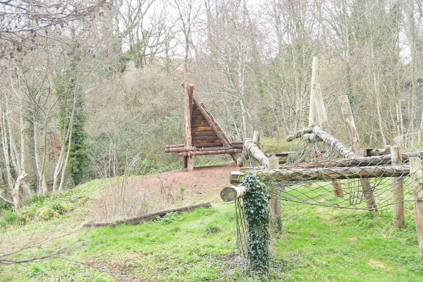 New structure on the Gorilla island, January 2022