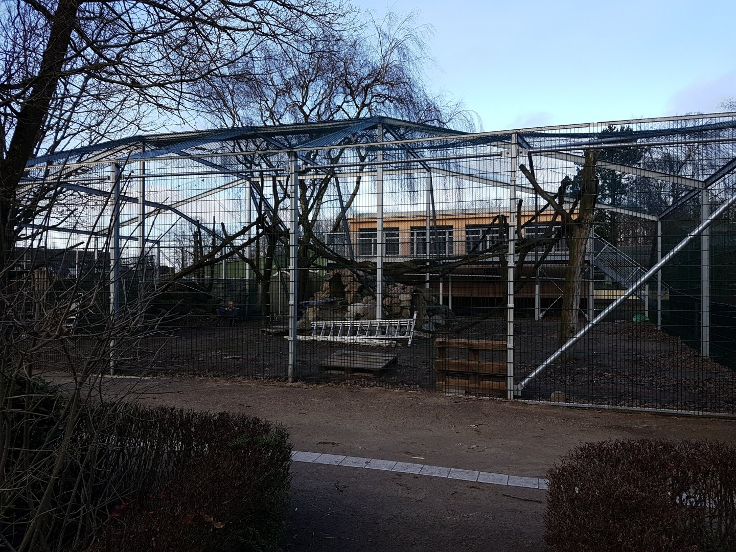 New Sulawesi crested macaque-enclosure under construction