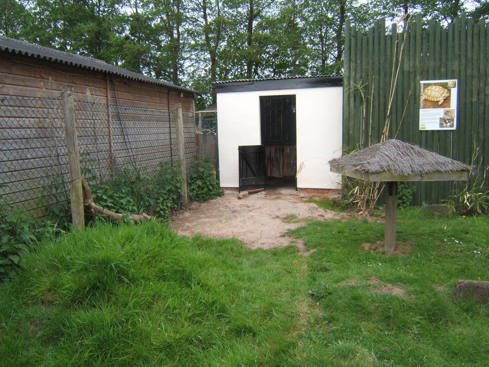 New Sulcatta House and enclosure