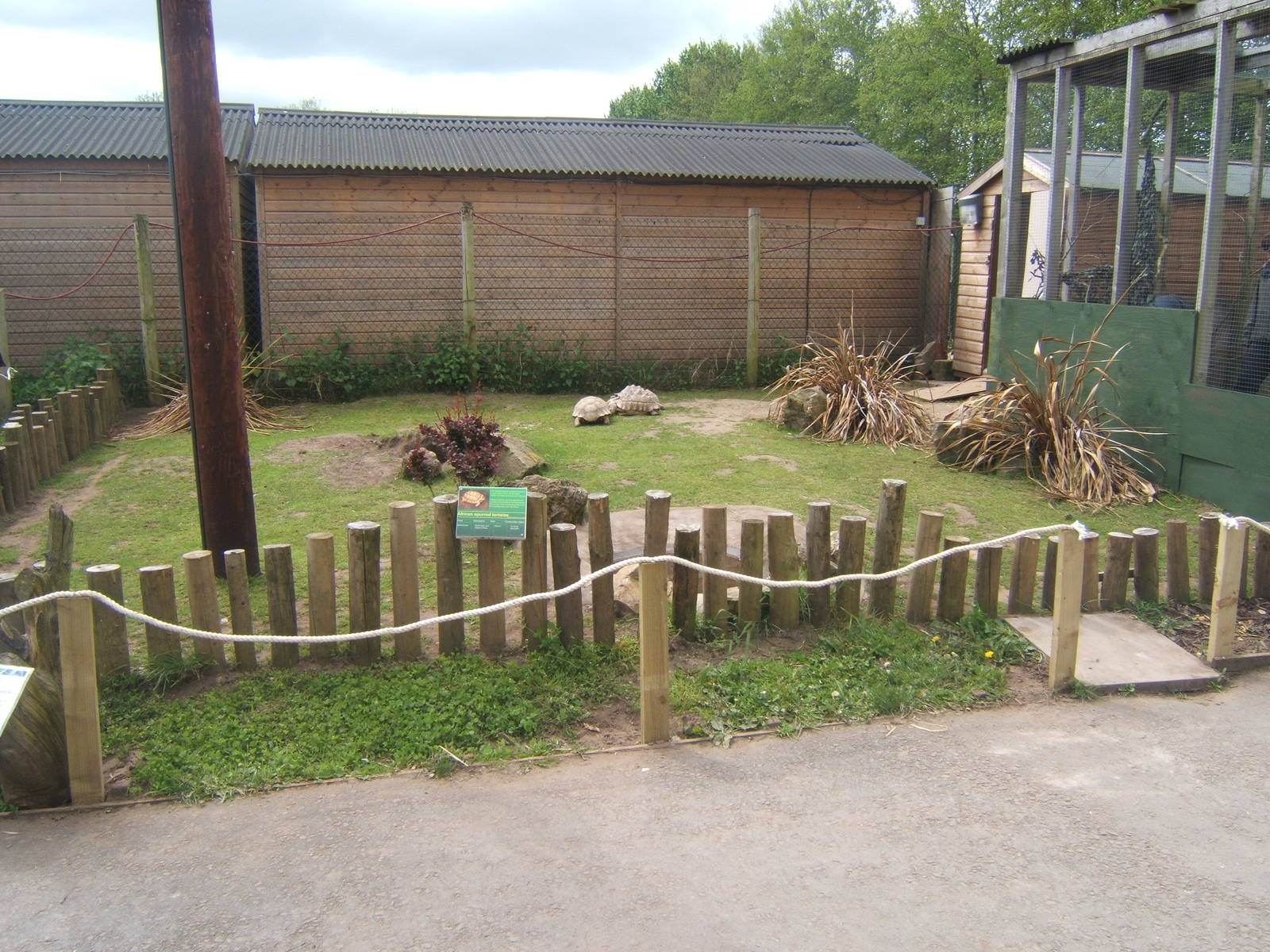 New Sulcatta Tortoise enclosure