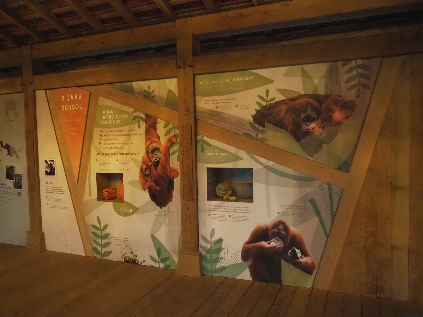 New Sumatran orangutan educational signage, 2024-01-01