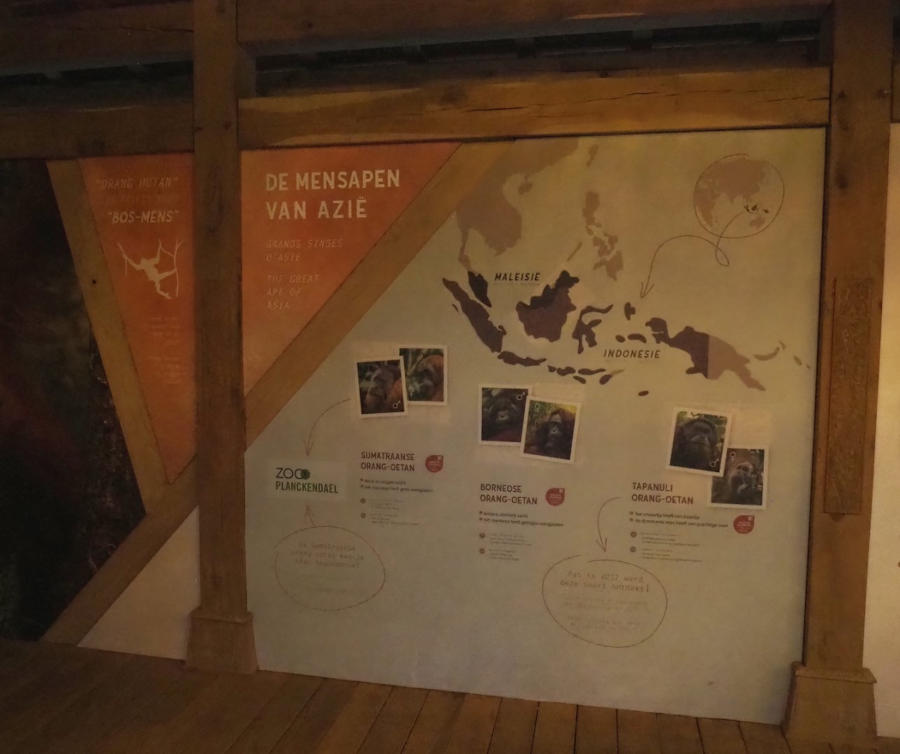 New Sumatran orangutan educational signage, 2024-01-01