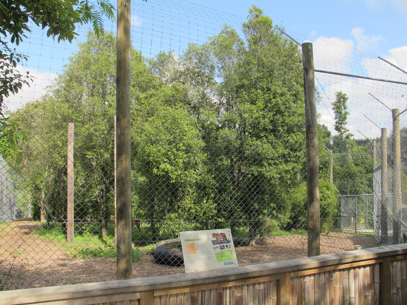New Sumatran Tiger Enclosure - Hamilton Zoo 2012