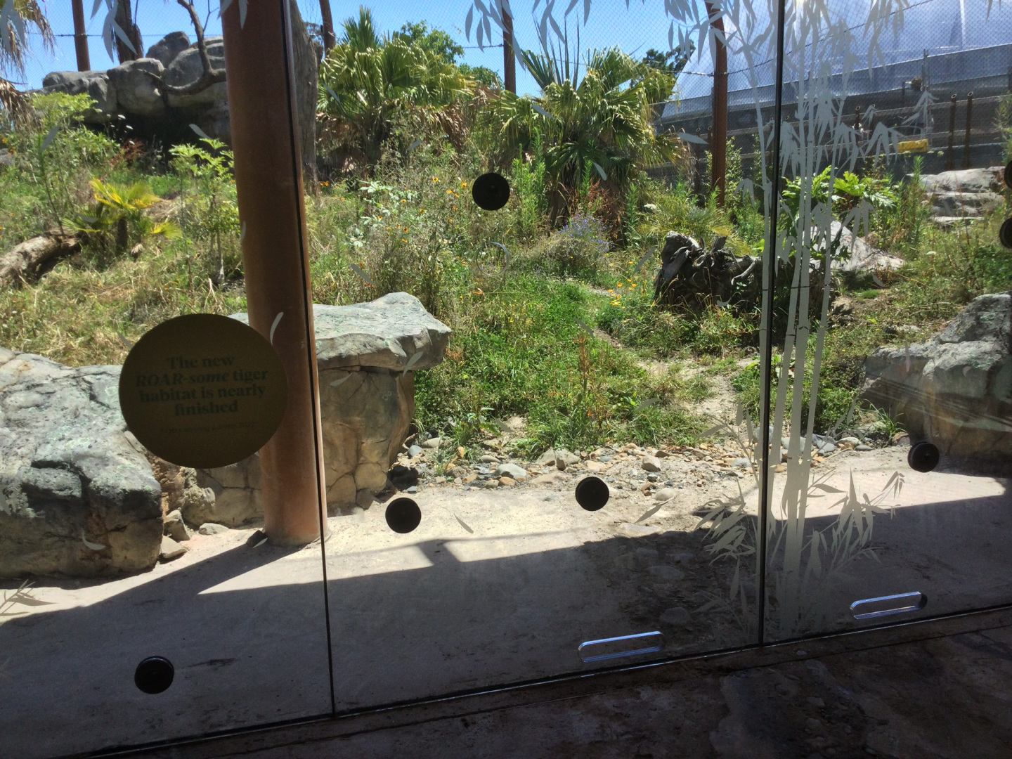 New Sumatran Tiger Exhibit (Medium)