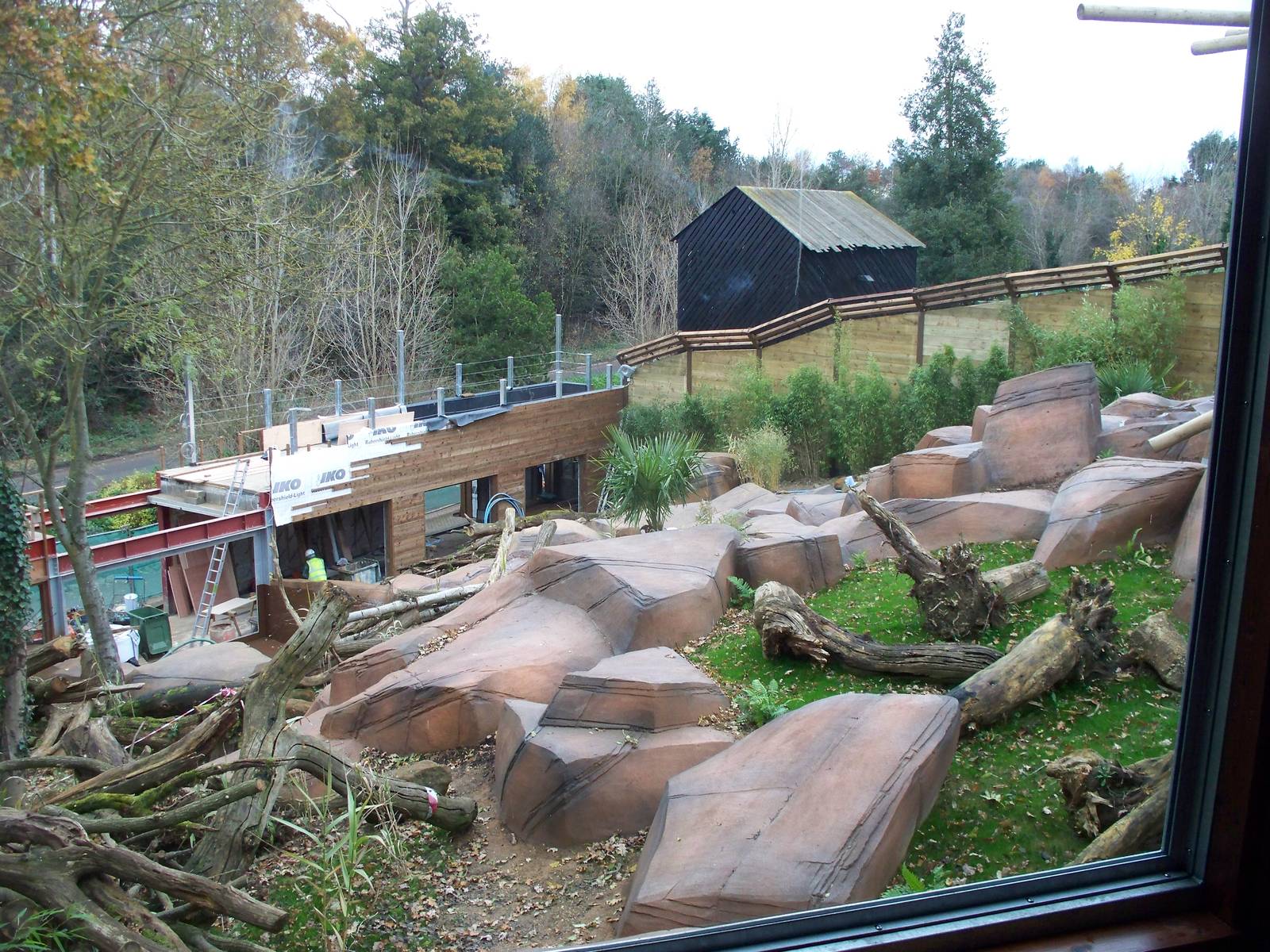 new sun bear enclosure