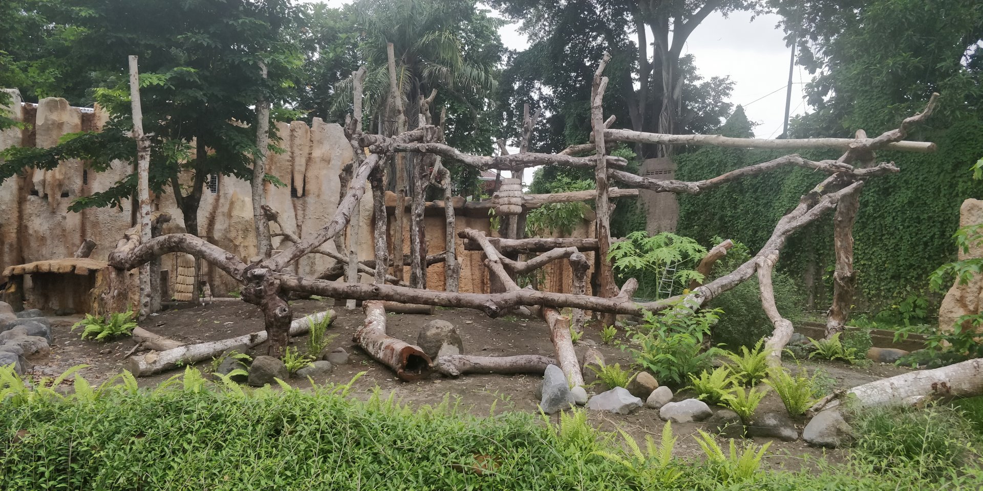 New sun bear enclosure