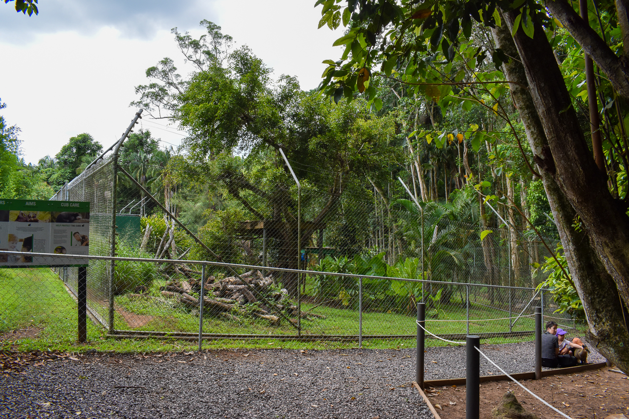 New Sun Bear Viewing Area