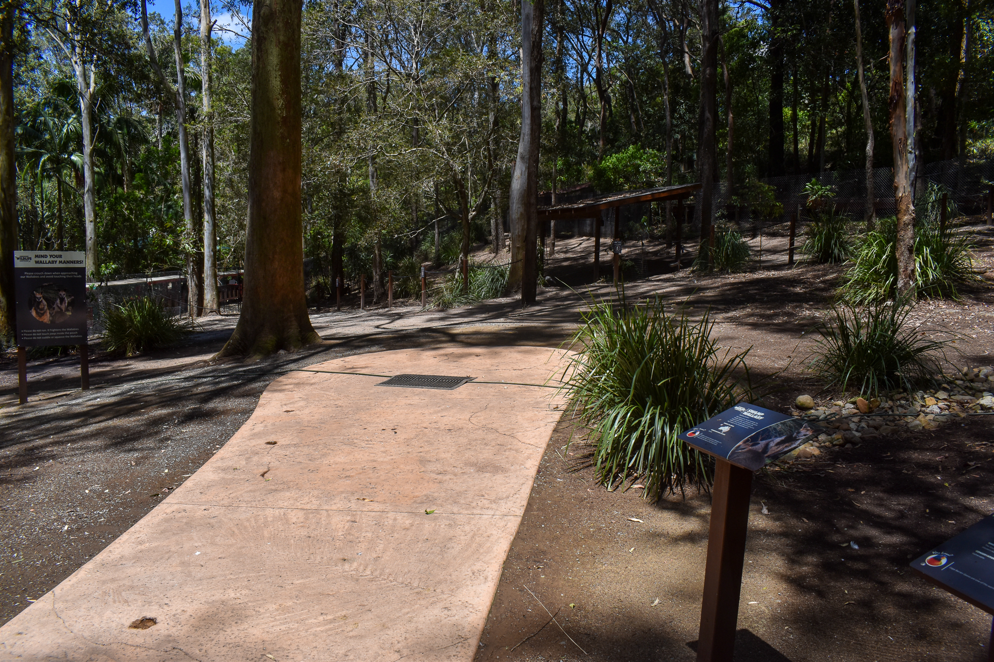 New Swamp Wallaby/Cape Barren Goose Walkthrough