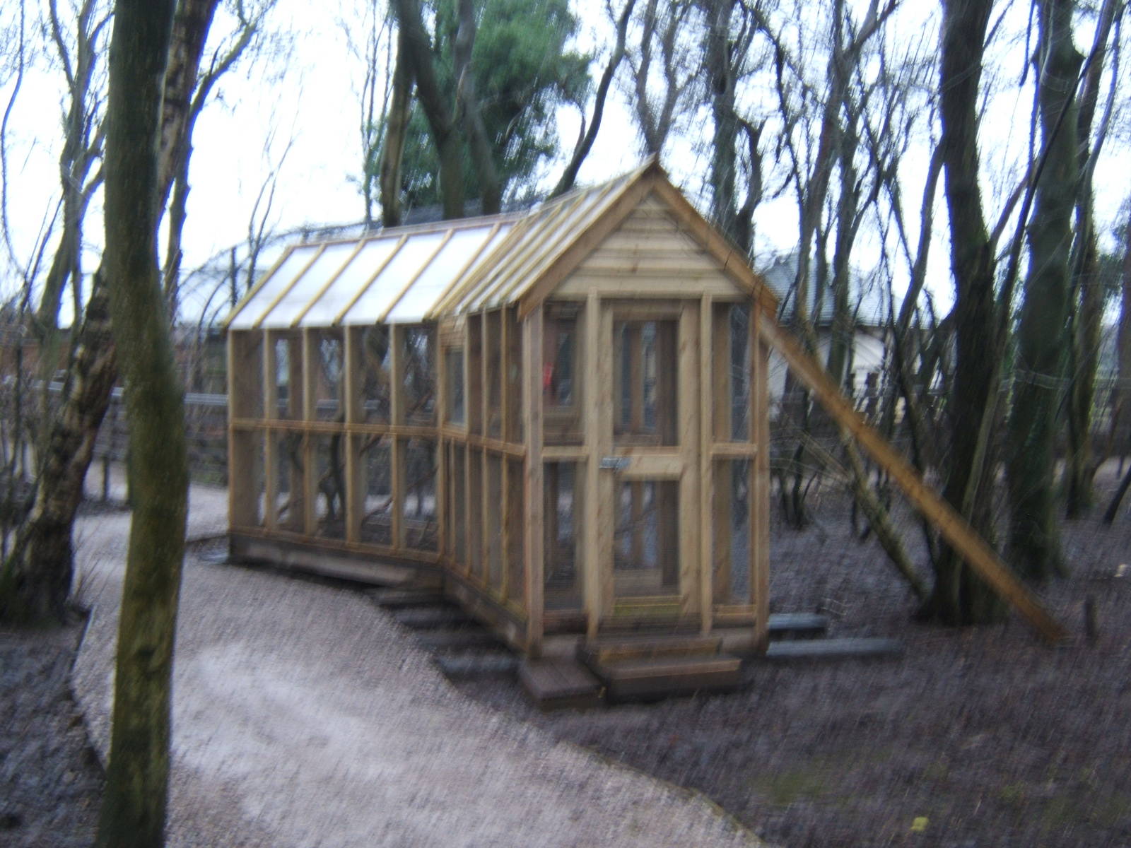 New Swinhoe`s Squirrel exhibit