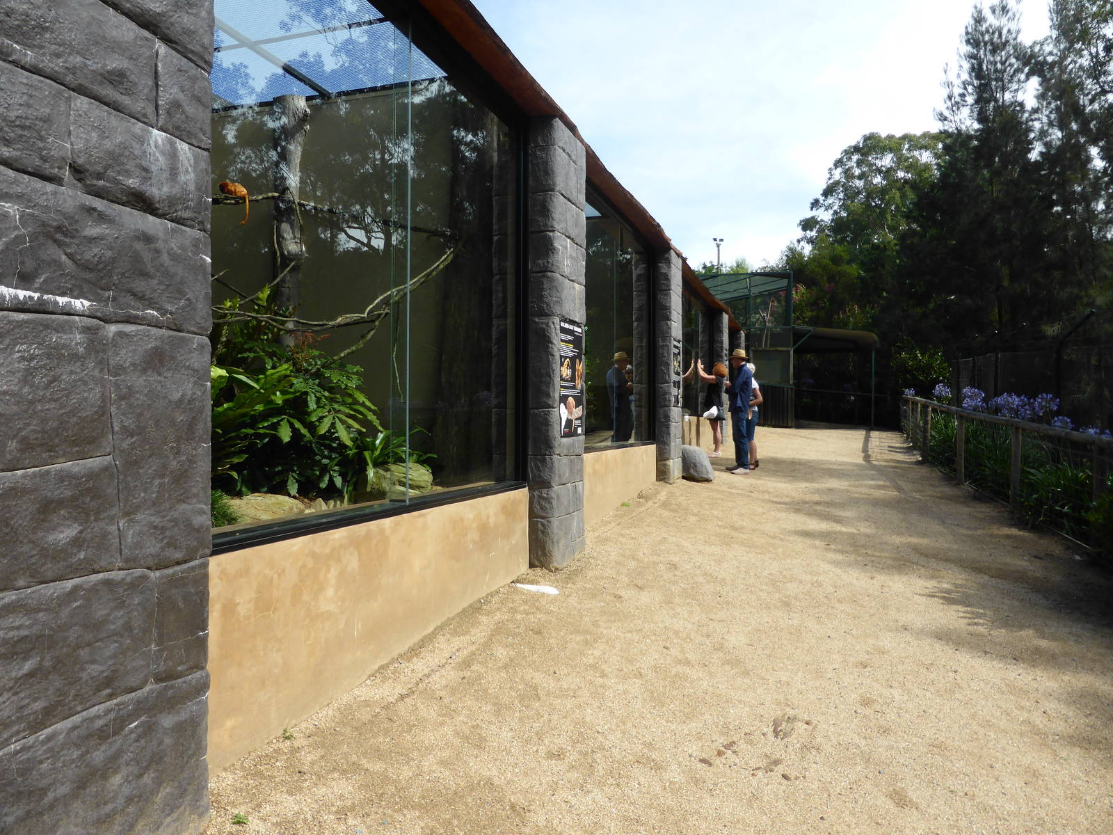 New tamarin and marmoset exhibits