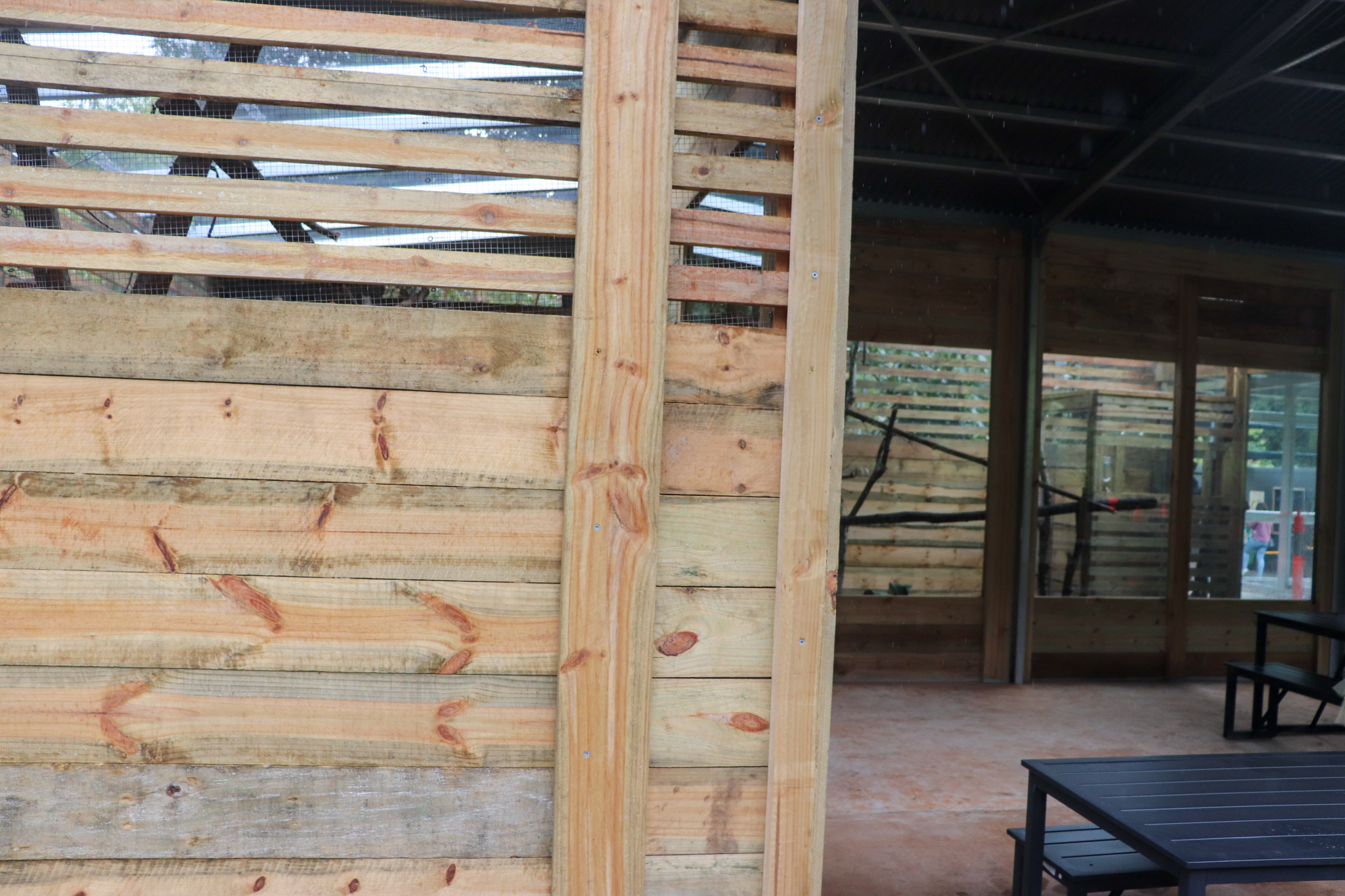 New Tamarin Enclosure in Café Area