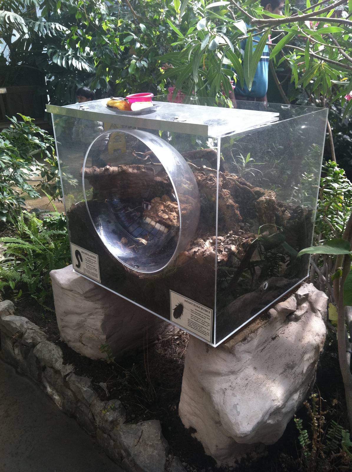 New Tank - 24th April 2011